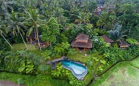 Dewi Tara Haven