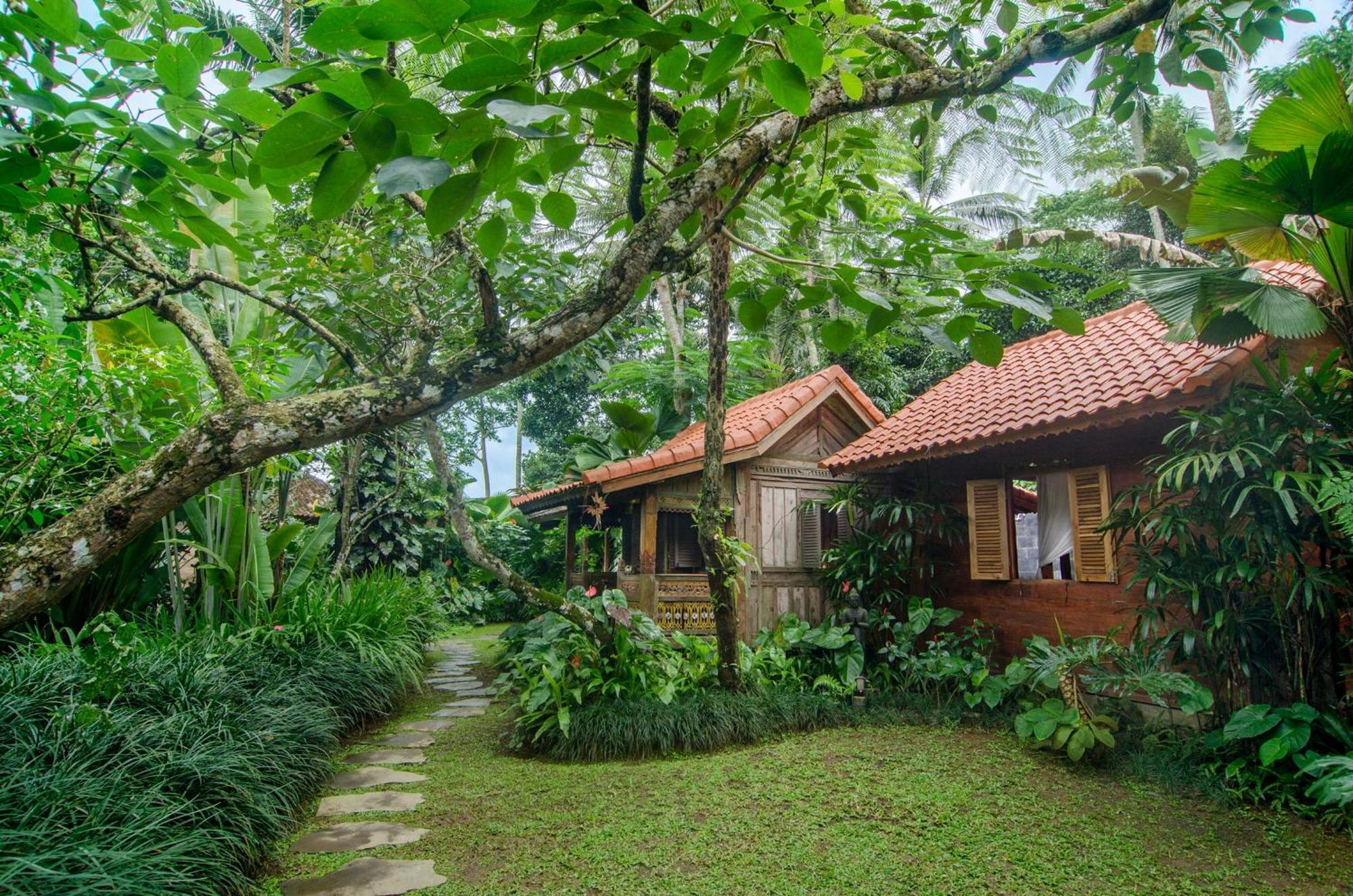 Dewi Tara Haven Bed and Breakfast Payangan Kamer foto