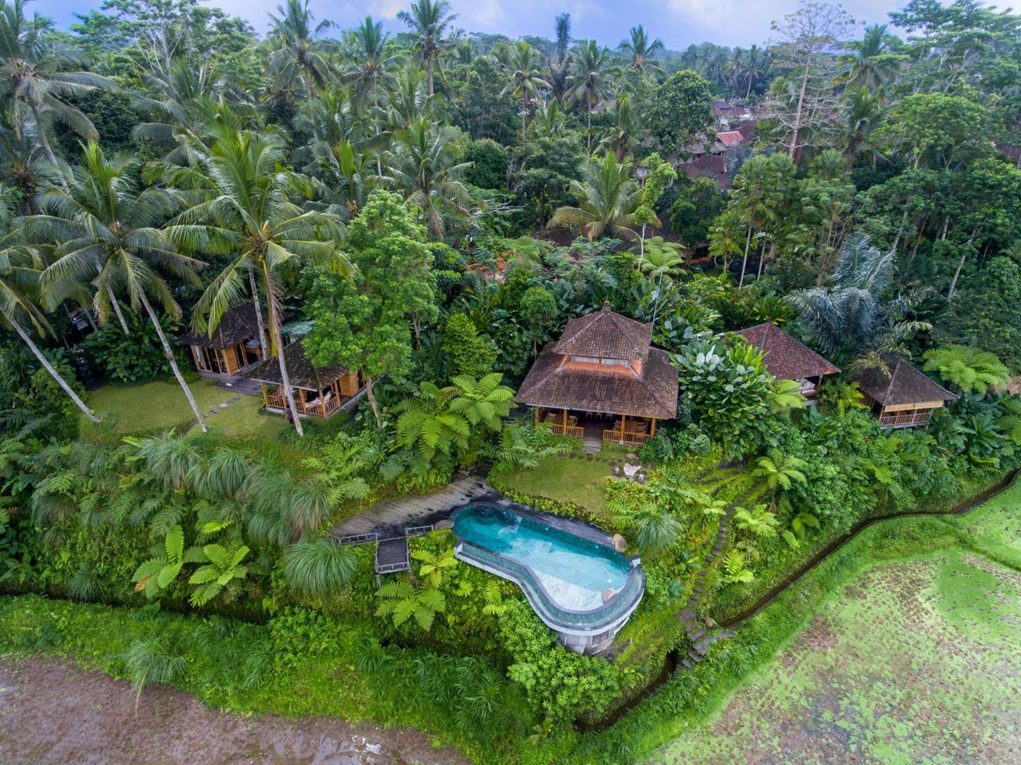 Dewi Tara Haven Bed and Breakfast Payangan Buitenkant foto