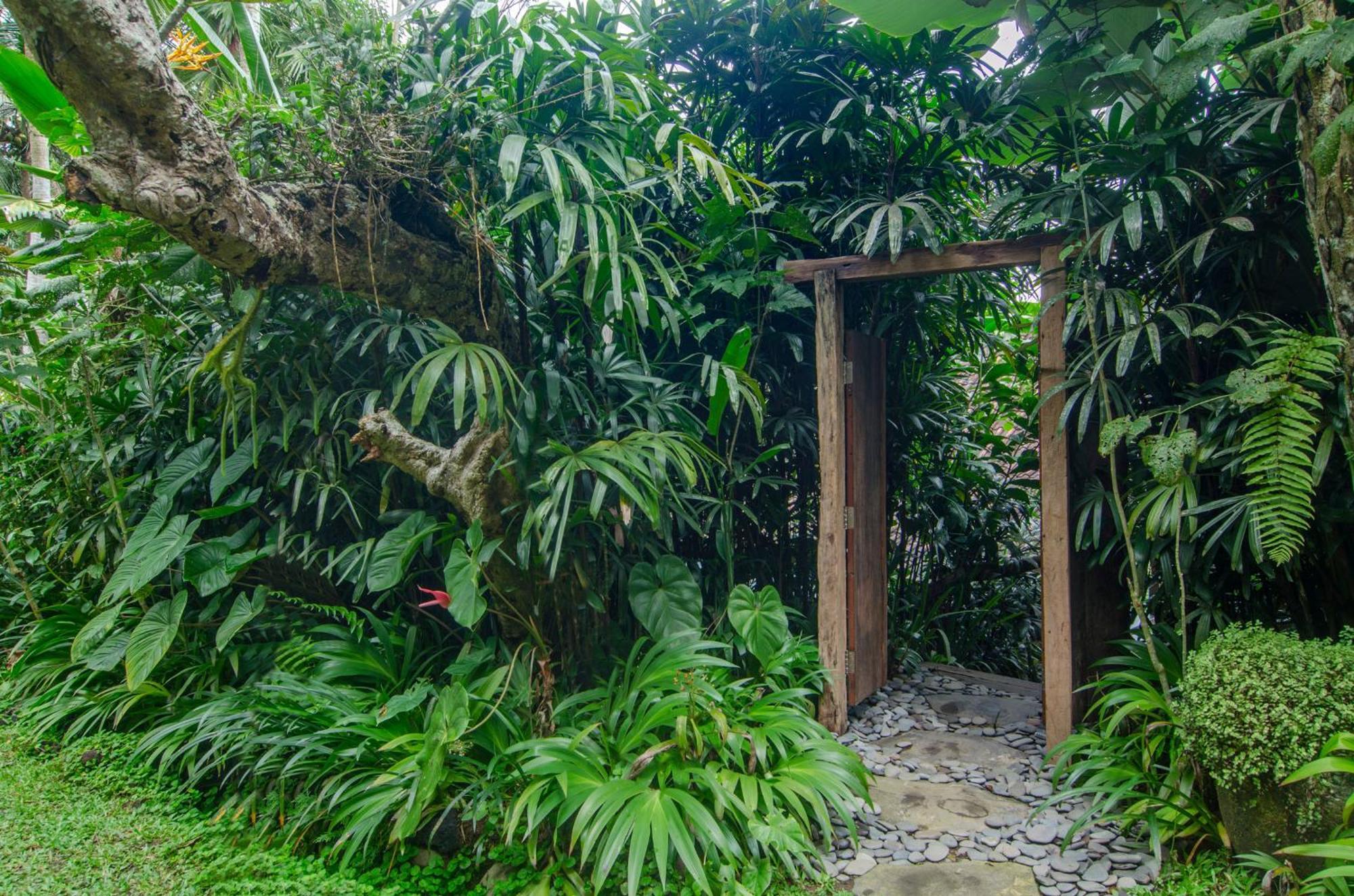 Dewi Tara Haven Bed and Breakfast Payangan Kamer foto