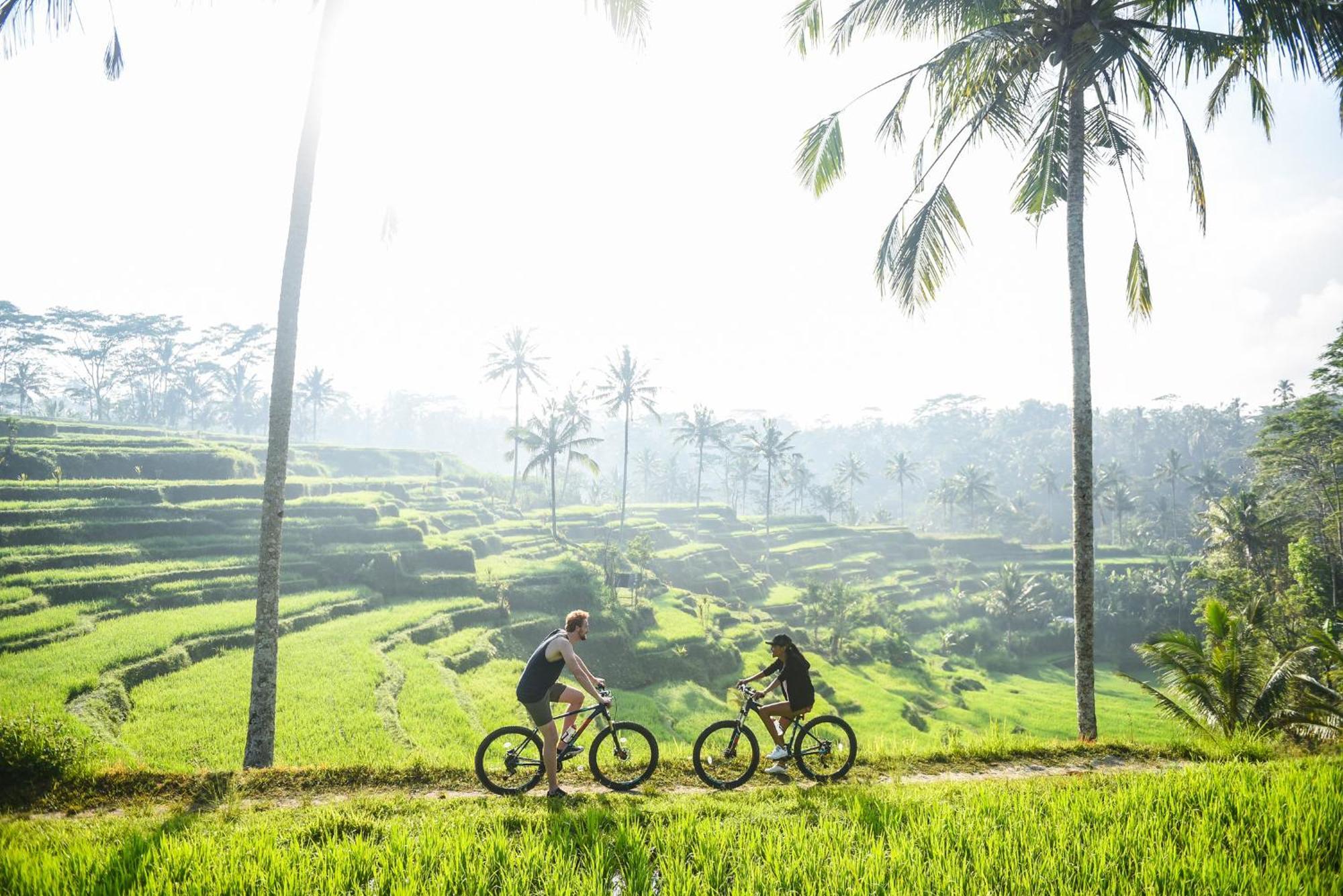 Dewi Tara Haven Bed and Breakfast Payangan Kamer foto